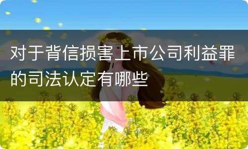 对于背信损害上市公司利益罪的司法认定有哪些