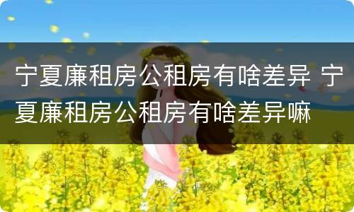 宁夏廉租房公租房有啥差异 宁夏廉租房公租房有啥差异嘛