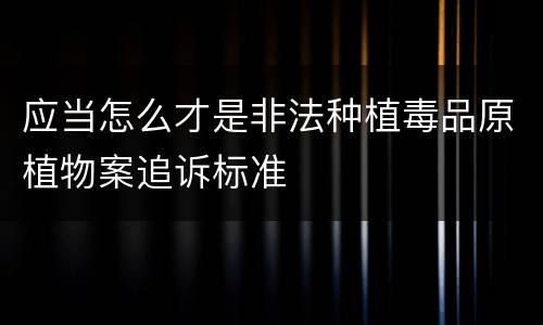 应当怎么才是非法种植毒品原植物案追诉标准