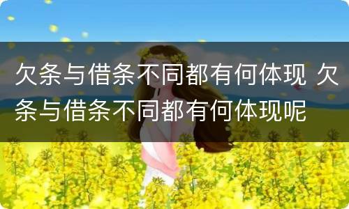 欠条与借条不同都有何体现 欠条与借条不同都有何体现呢