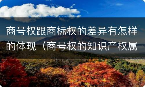 商号权跟商标权的差异有怎样的体现（商号权的知识产权属性）