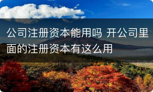 公司注册资本能用吗 开公司里面的注册资本有这么用