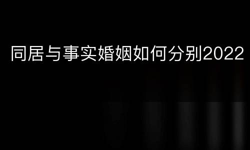 同居与事实婚姻如何分别2022