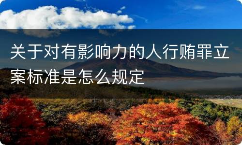 关于对有影响力的人行贿罪立案标准是怎么规定