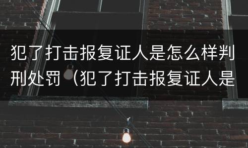 犯了打击报复证人是怎么样判刑处罚（犯了打击报复证人是怎么样判刑处罚的）