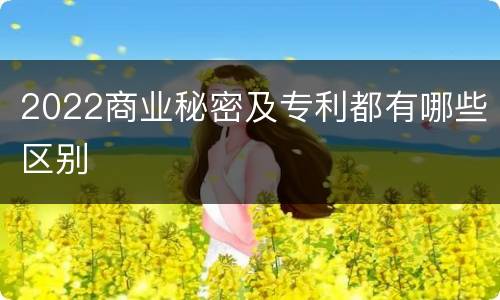 2022商业秘密及专利都有哪些区别