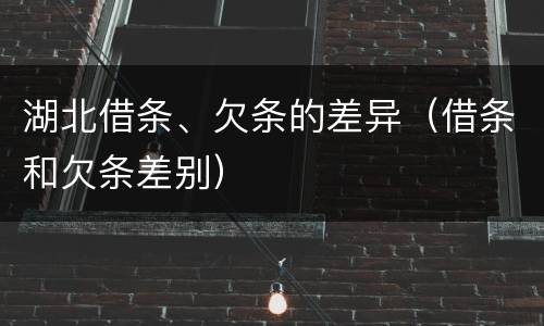 湖北借条、欠条的差异（借条和欠条差别）