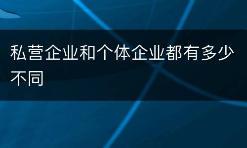 私营企业和个体企业都有多少不同