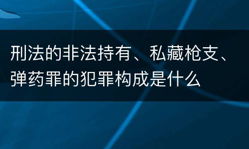 刑法的非法持有、私藏枪支、弹药罪的犯罪构成是什么