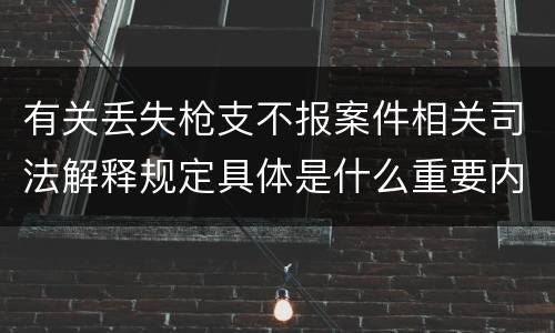 有关丢失枪支不报案件相关司法解释规定具体是什么重要内容