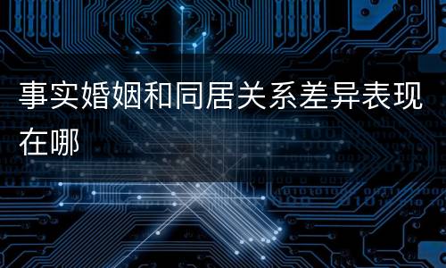 事实婚姻和同居关系差异表现在哪