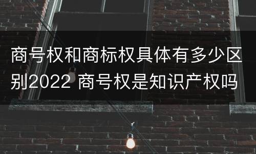 商号权和商标权具体有多少区别2022 商号权是知识产权吗