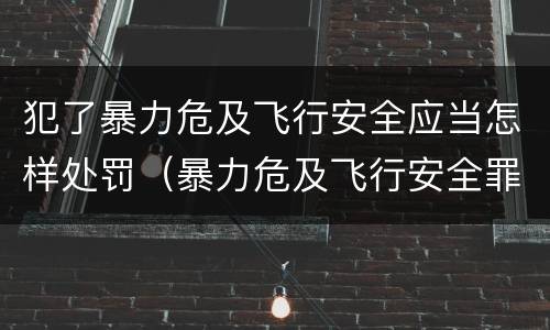 犯了暴力危及飞行安全应当怎样处罚（暴力危及飞行安全罪的构成要件）