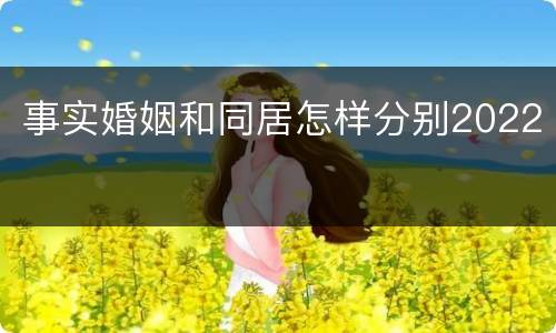 事实婚姻和同居怎样分别2022