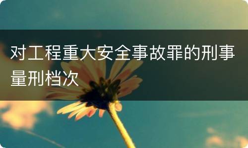 对工程重大安全事故罪的刑事量刑档次