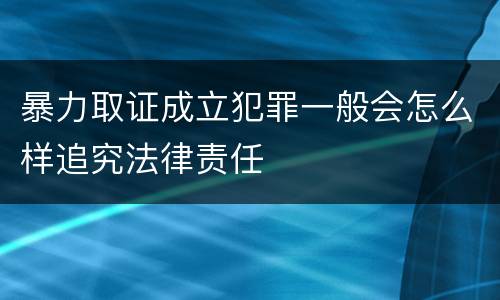 暴力取证成立犯罪一般会怎么样追究法律责任