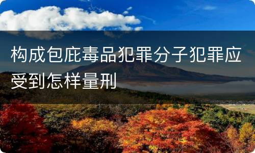 构成包庇毒品犯罪分子犯罪应受到怎样量刑