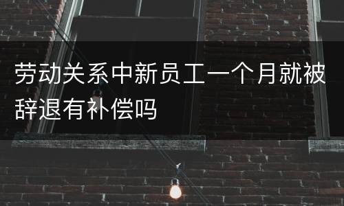 劳动关系中新员工一个月就被辞退有补偿吗