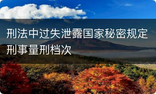 刑法中过失泄露国家秘密规定刑事量刑档次