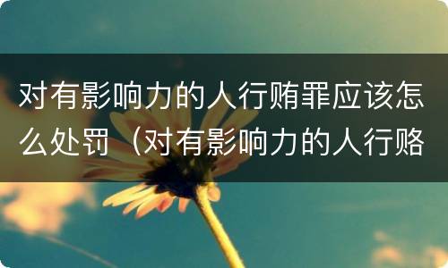 对有影响力的人行贿罪应该怎么处罚（对有影响力的人行赂罪数额）