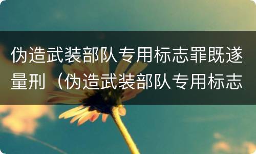 伪造武装部队专用标志罪既遂量刑（伪造武装部队专用标志罪既遂量刑案例）