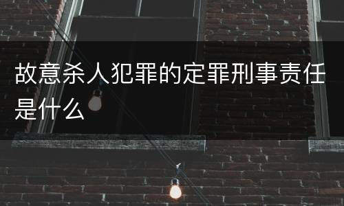 故意杀人犯罪的定罪刑事责任是什么