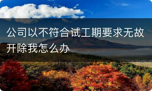 公司以不符合试工期要求无故开除我怎么办