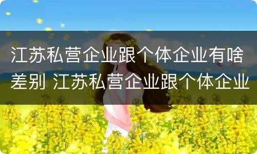江苏私营企业跟个体企业有啥差别 江苏私营企业跟个体企业有啥差别吗