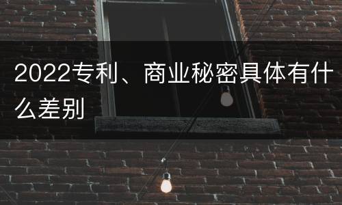 2022专利、商业秘密具体有什么差别
