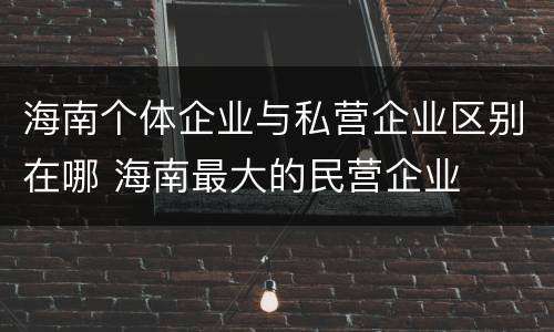 海南个体企业与私营企业区别在哪 海南最大的民营企业