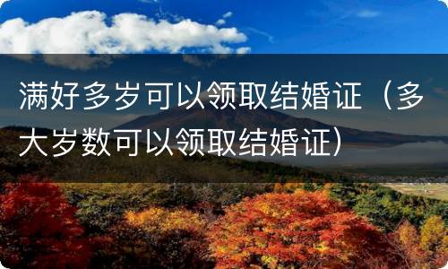 满好多岁可以领取结婚证（多大岁数可以领取结婚证）