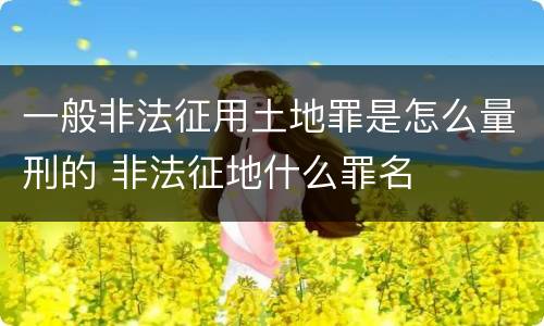 一般非法征用土地罪是怎么量刑的 非法征地什么罪名