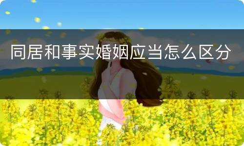 同居和事实婚姻应当怎么区分