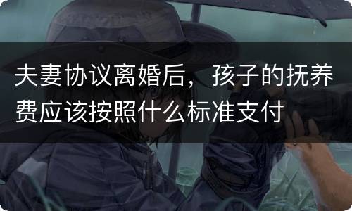 夫妻协议离婚后，孩子的抚养费应该按照什么标准支付