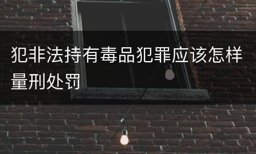 犯非法持有毒品犯罪应该怎样量刑处罚