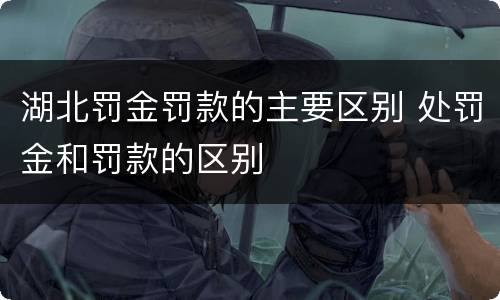 湖北罚金罚款的主要区别 处罚金和罚款的区别