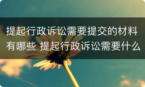 提起行政诉讼需要提交的材料有哪些 提起行政诉讼需要什么材料