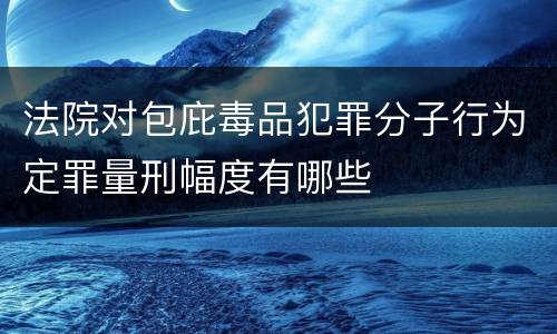 法院对包庇毒品犯罪分子行为定罪量刑幅度有哪些