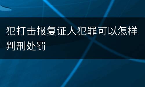 犯打击报复证人犯罪可以怎样判刑处罚