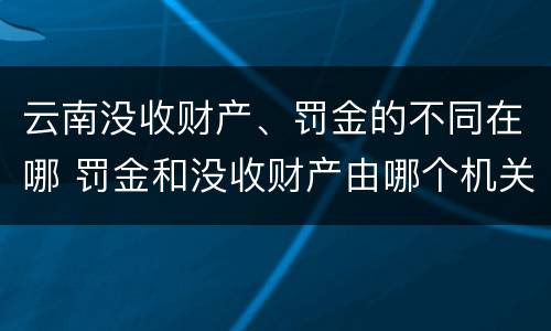 云南没收财产、罚金的不同在哪 罚金和没收财产由哪个机关执行