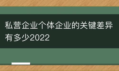 私营企业个体企业的关键差异有多少2022