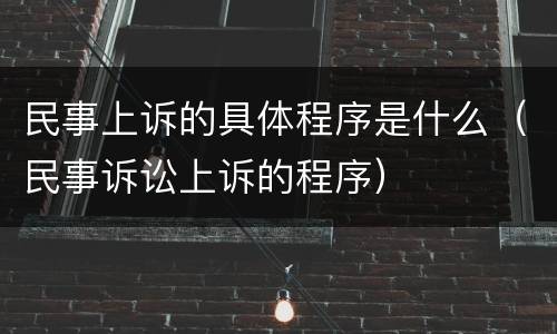 民事上诉的具体程序是什么（民事诉讼上诉的程序）