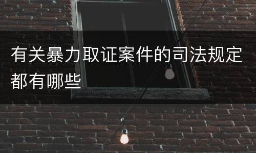 有关暴力取证案件的司法规定都有哪些