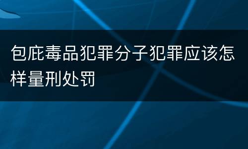 包庇毒品犯罪分子犯罪应该怎样量刑处罚