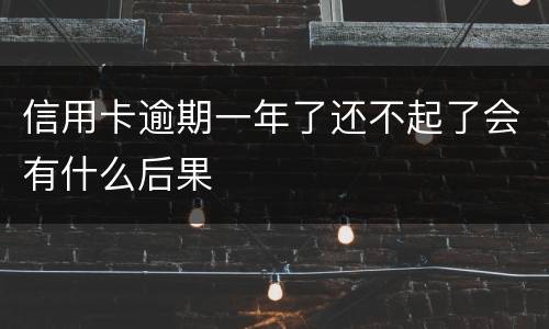 信用卡逾期一年了还不起了会有什么后果