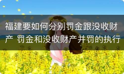 福建要如何分别罚金跟没收财产 罚金和没收财产并罚的执行顺序