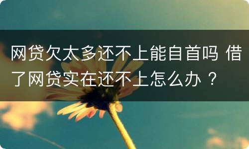网贷欠太多还不上能自首吗 借了网贷实在还不上怎么办 ?