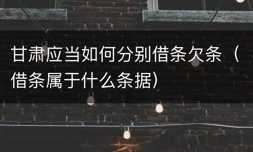 甘肃应当如何分别借条欠条（借条属于什么条据）