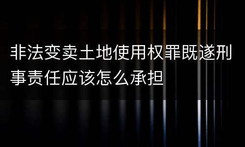 非法变卖土地使用权罪既遂刑事责任应该怎么承担