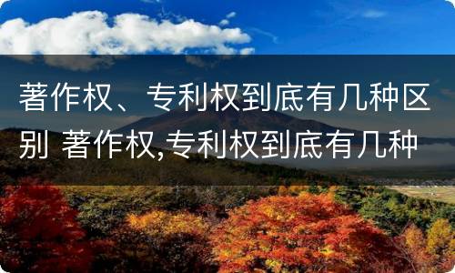 著作权、专利权到底有几种区别 著作权,专利权到底有几种区别图片